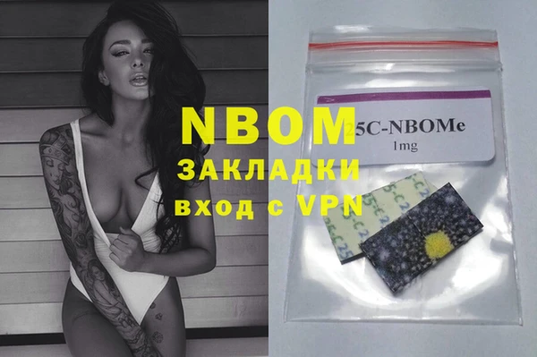 мдпв Гусев