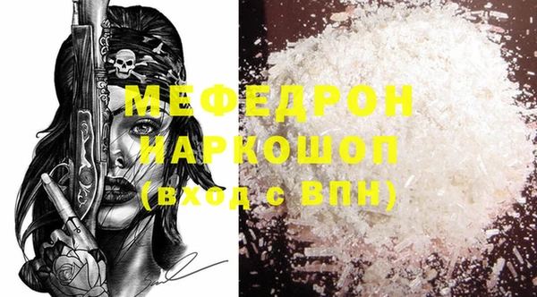 мдпв Гусев