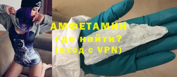 мдпв Гусев