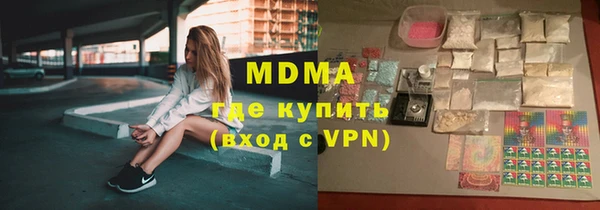 мдпв Гусев
