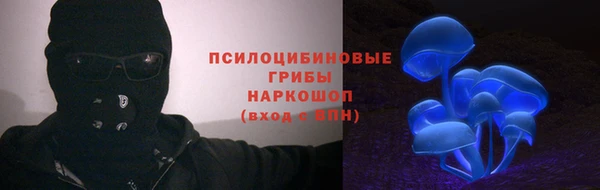 мдпв Гусев