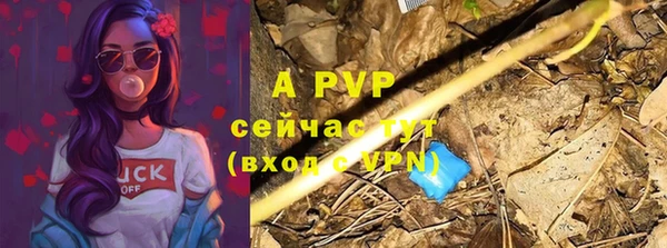 мдпв Гусев