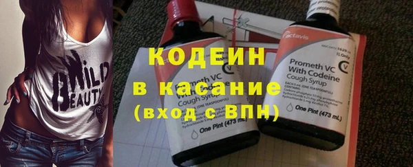 мдпв Гусев