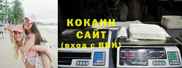 мдпв Гусев