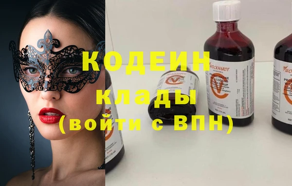 мдпв Гусев