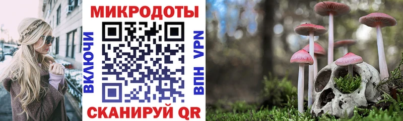 Псилоцибиновые грибы мицелий  Новочеркасск 