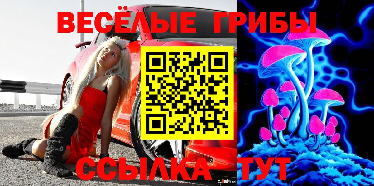 Новочеркасск  Галлюциногенные грибы прущие грибы  Вход с VPN 