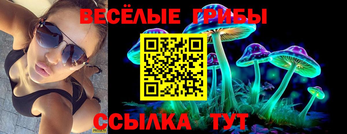 COCAIN  МДМА  Канабис  Новочеркасск  Вход с VPN  Мефедрон кристаллы  LSD-25  ГАШ  ГАШ 