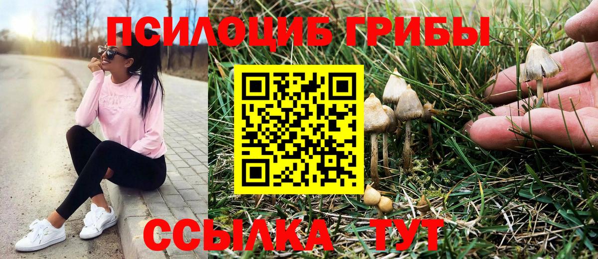 Псилоцибиновые грибы GOLDEN TEACHER Новочеркасск